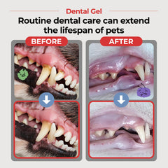 JAYU PET tube ouvert révélant texture lisse, application facile