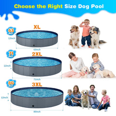Jecoo piscine en usage avec chien profitant de la fraîcheur sécurisée