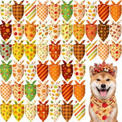 Jeere bandana avant emballage montrant lot de 50 et variété, pratique pour événements