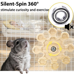 Chinchilla jouant avec Jevnd, rotation stimule l’activité