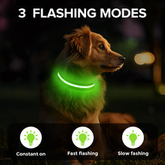 Jewyow collier porté par chien la nuit améliorant la sécurité