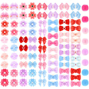 Jexine face packaging multicolore montrant variété et choix