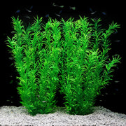 JIHAQUA plante aquarium face avant apport visuel naturel