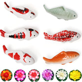 JINYEAH poisson koi de face montrant couleurs vives et charme décoratif