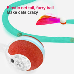 Jkanti balle en action sur parquet avec chat jouant pour encourager l'exercice