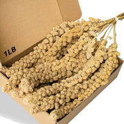 Jmxu's emballage avant montrant le spray millet et informations produit bénéfice conservation