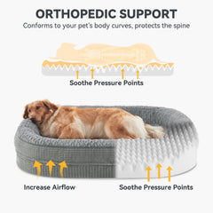 JOEJOY coupe de la mousse montrant soutien orthopédique et confort