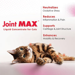 Joint Max texture liquide en gouttes pour une absorption rapide