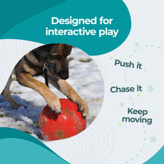 Jolly Pets chien senior poussant la balle pour stimulation physique douce et jeu interactif