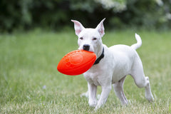 Jolly Pets football gros plan matière souple montrant prise et durabilité
