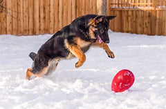 Jolly Pets Jolly Egg flottant sur l'eau facilitant le rapport et les jeux aquatiques