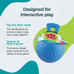 Chien jouant avec Jolly Pets Tug-n-Toss, favorise activité et interaction
