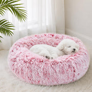 JOLLYVOGUE lit donut vue avant montrant confort et design