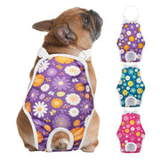 Jollywoods vue frontale de l'emballage montrant le lot de 3 culottes protectrices, pratique