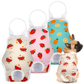 Jollywoods face avant de la culotte hygiénique montrant le design et la protection