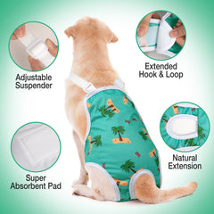 jollywoods gros plan intérieur absorbant montrant absorption rapide