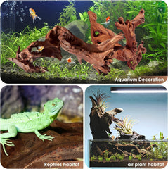 Jorewood intégré en terrarium offrant surfaces d'escalade pour reptiles