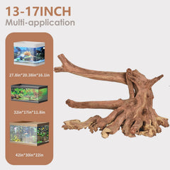Jorewood gros plan texture poreuse offrant accroche plantes et microfaune