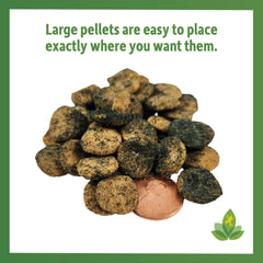 Josh's Frogs microfaune mangeant pellets bénéfice pour cycle bioactif