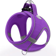 Joytale harnais violet vue de face montrant design ergonomique et confort