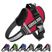 JSXD harnais vue face montrant coupe et confort
