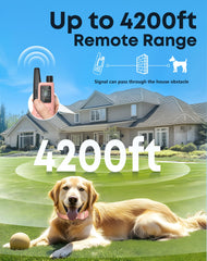 Jugbow fermeture et sangle en nylon doux pour confort du chien