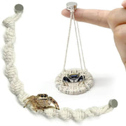 Julang pont de corde avant emballage montre kit complet et dimensions