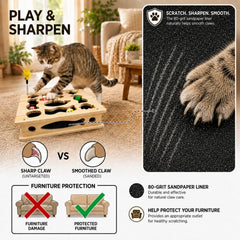 JUMESERA gros plan lime 80-grit, aide à limer les griffes