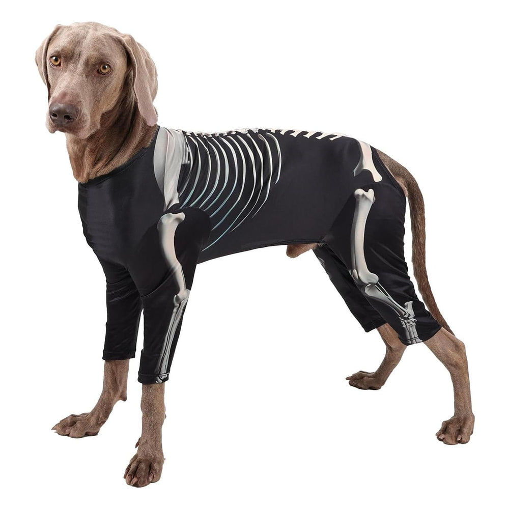 Junchl devant emballage du costume, visibilité claire du motif pour un effet festif