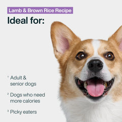 JustFoodForDogs portion servie dans un bol prête à être donnée pour une digestion améliorée