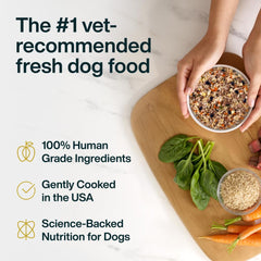 JustFoodForDogs mélangé comme topper sur croquettes pour augmenter l’appétence