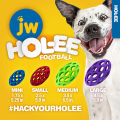 Chien jouant avec JW Hol-ee Football rebond irrégulier pour plus d’action