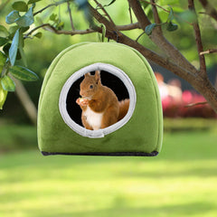 JWVGWV petit animal installé montrant confort et détente