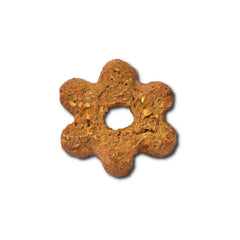 K9 Granola Factory friandises servies près d'un chien heureux, moment de complicité et plaisir