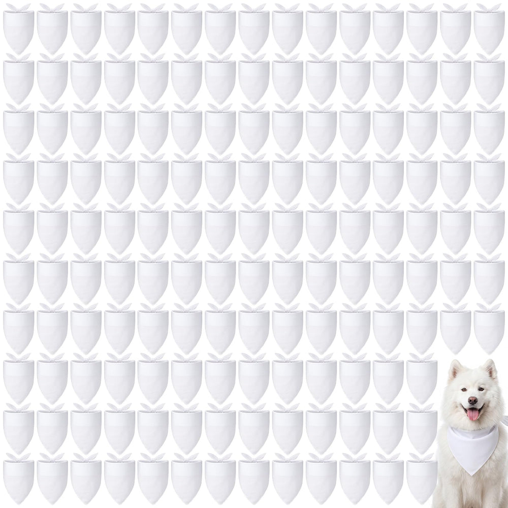 Kacctyen emballage avant montrant le lot de 100 bandanas, gain de temps