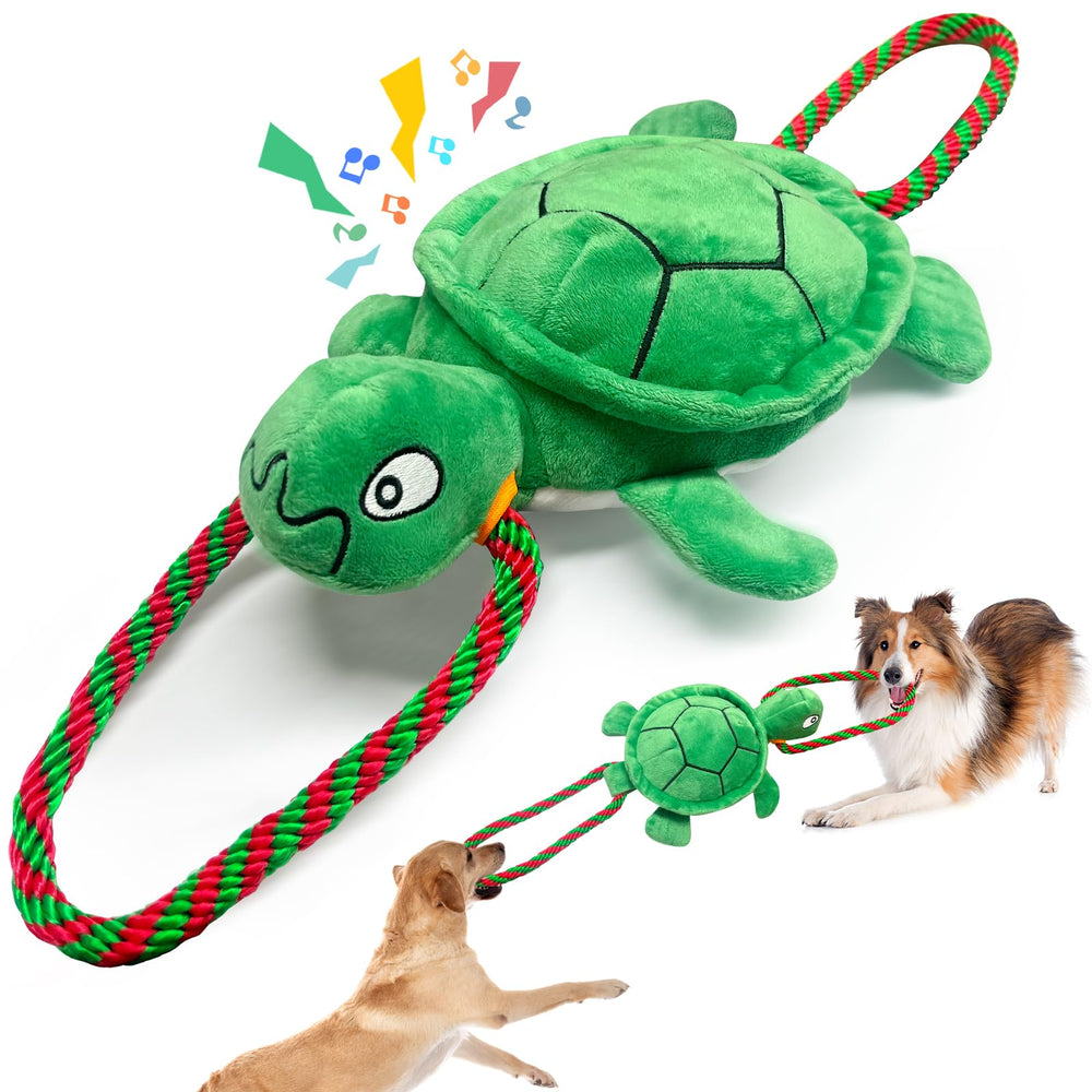 kachewlulu tortue face avant montrant forme attrayante et sécurité