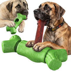 KADTC XXL vue avant du porte-bully stick montrant le produit et sa robustesse
