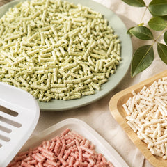 KAMY's ZOO gros plan des granulés de tofu illustrant absorption rapide