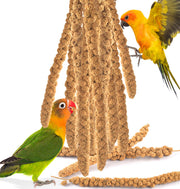 KATUMO emballage face montrant 200g d'épis de millet, qualité naturelle
