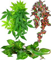 KATUMO plante suspendue rouge montrant cachette naturelle
