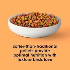 Sachet Kaytee NutriDelight à côté d'une main pour comparaison de taille pratique