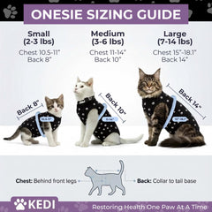 Kedi Cats Solutions détail du système de fixation sécurisée empêchant l'évasion