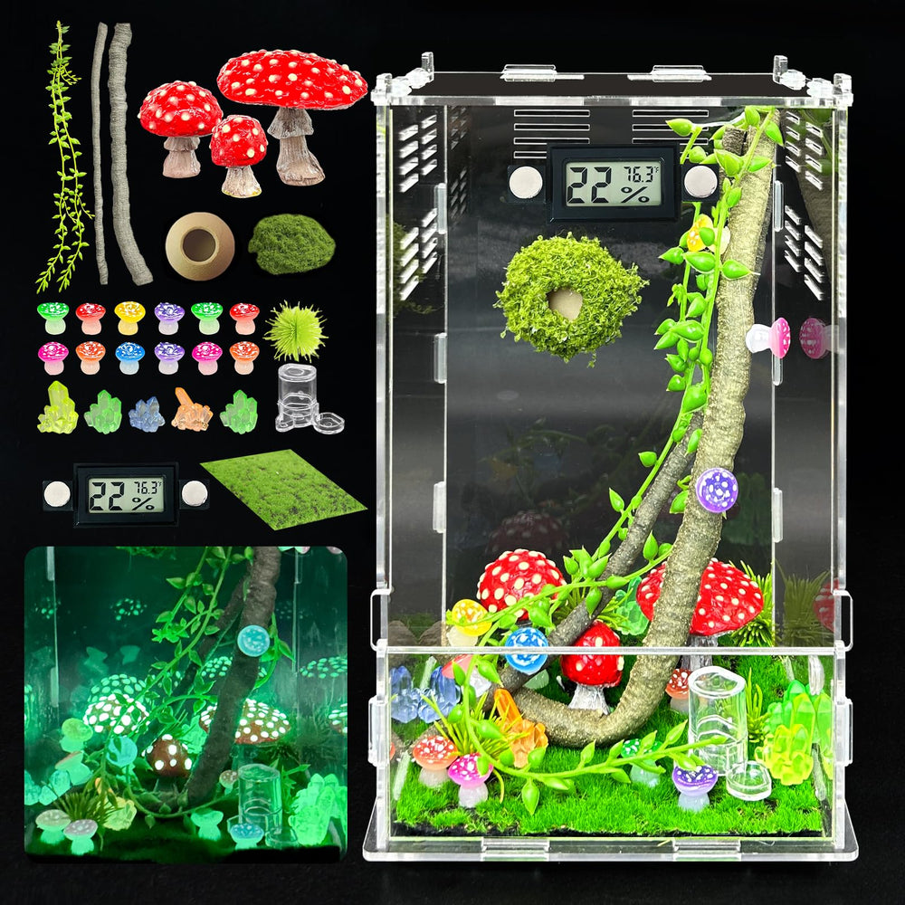 KFPSHLQE terrarium face avant montrant visibilité pour observation