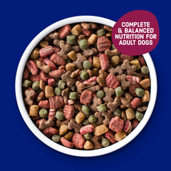 Kibbles 'n Bits bits moelleux en détail, variation de texture appréciée