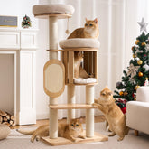 Kicari arbre à chat face montrant l'ensemble et stabilité