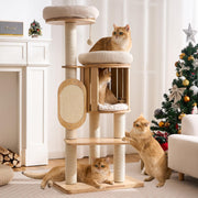 Kicari arbre à chat face montrant l'ensemble et stabilité