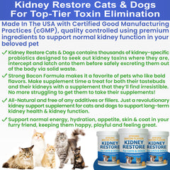 Kidney Restore poudre texture gros plan montrant la consistance facile à mélanger