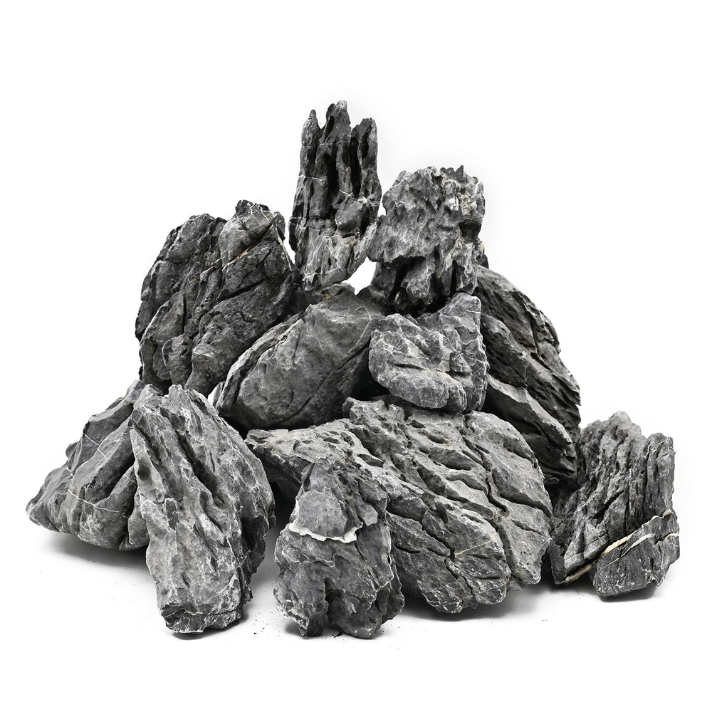 KINGRUI Seiryu Rock vue avant montrant la forme naturelle et robustesse