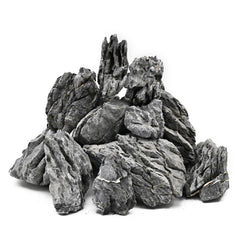 KINGRUI Seiryu Rock vue avant montrant la forme naturelle et robustesse