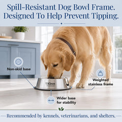 Kinn bol en usage avec chien buvant facilement pendant promenade